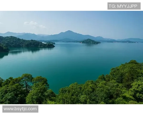 探索3D真人解太湖1234的奥秘与魅力，带你领略自然与科技的完美结合